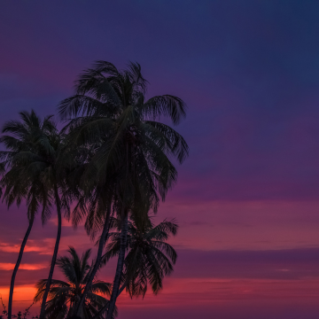 Sunfall Drive